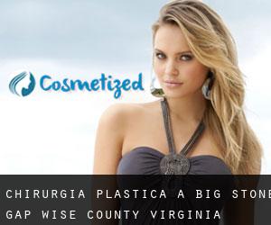 chirurgia plastica a Big Stone Gap (Wise County, Virginia)
