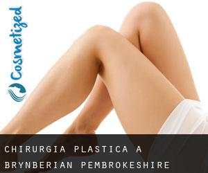 chirurgia plastica a Brynberian (Pembrokeshire, Galles)
