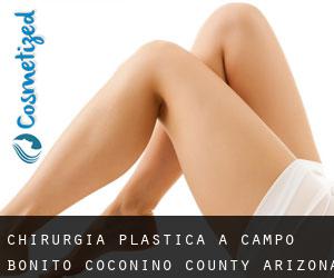 chirurgia plastica a Campo Bonito (Coconino County, Arizona)