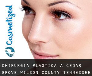 chirurgia plastica a Cedar Grove (Wilson County, Tennessee)