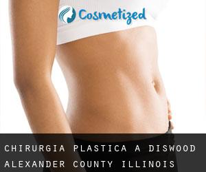 chirurgia plastica a Diswood (Alexander County, Illinois)
