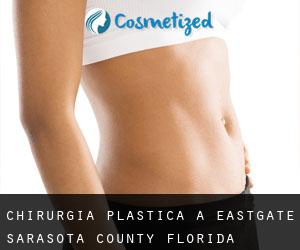 chirurgia plastica a Eastgate (Sarasota County, Florida)