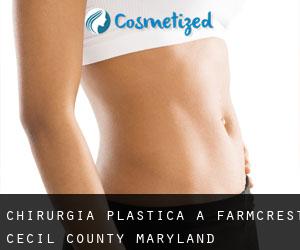 chirurgia plastica a Farmcrest (Cecil County, Maryland)