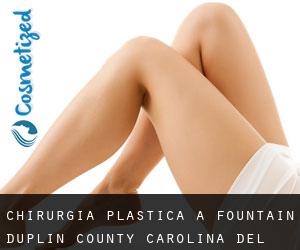 chirurgia plastica a Fountain (Duplin County, Carolina del Nord)