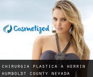 chirurgia plastica a Herrin (Humboldt County, Nevada)