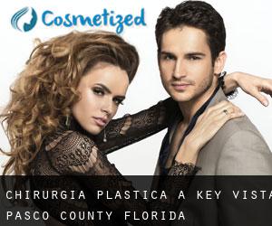 chirurgia plastica a Key Vista (Pasco County, Florida)