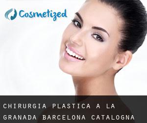 chirurgia plastica a La Granada (Barcelona, Catalogna)