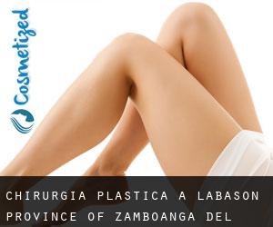 chirurgia plastica a Labason (Province of Zamboanga del Norte, Zamboanga Peninsula)