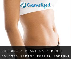 chirurgia plastica a Monte Colombo (Rimini, Emilia-Romagna)