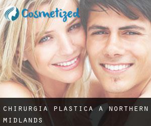 chirurgia plastica a Northern Midlands chirurgia plastica a Northern Midlands