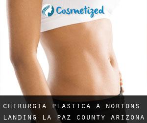 chirurgia plastica a Nortons Landing (La Paz County, Arizona)