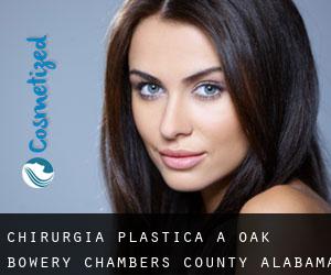chirurgia plastica a Oak Bowery (Chambers County, Alabama)