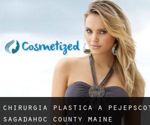 chirurgia plastica a Pejepscot (Sagadahoc County, Maine)
