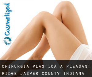 chirurgia plastica a Pleasant Ridge (Jasper County, Indiana)