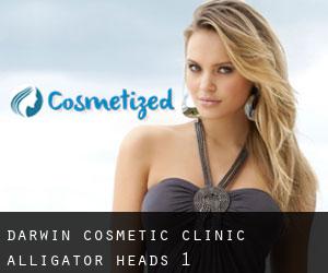 Darwin Cosmetic Clinic (Alligator Heads) #1