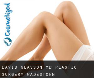 David GLASSON MD. Plastic Surgery (Wadestown)