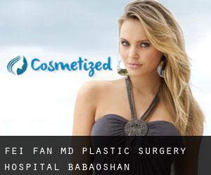 Fei FAN MD. Plastic Surgery Hospital (Babaoshan)