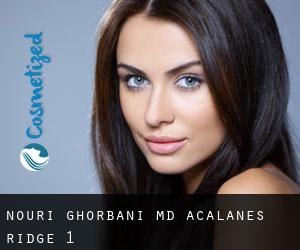 Nouri Ghorbani, MD (Acalanes Ridge) #1