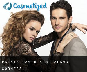 Palaia David A MD (Adams Corners) #1