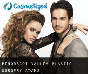 Penobscot Valley Plastic Surgery (Adams)