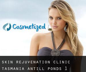 Skin Rejuvenation Clinic Tasmania (Antill Ponds) #1